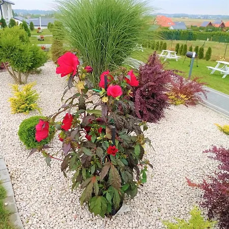 Sloneczne Nad Morzem Darłowo