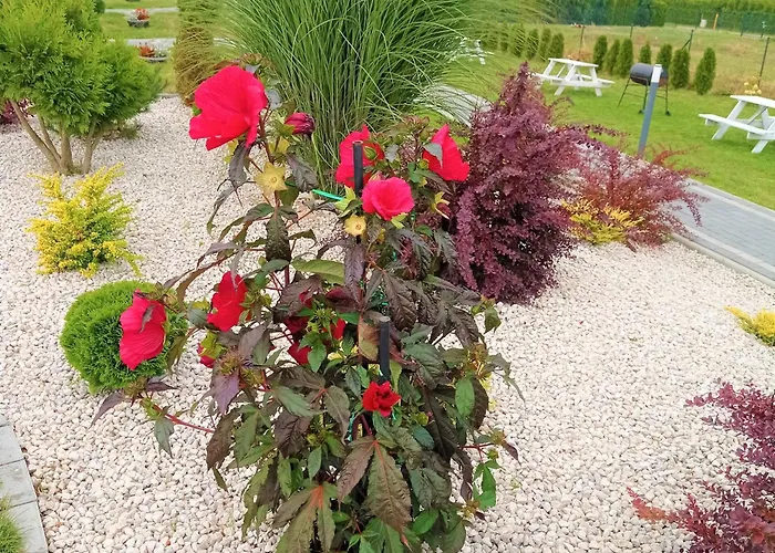 Sloneczne Nad Morzem Darlowo